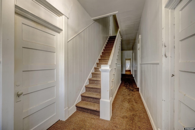 staircase featuring carpet flooring