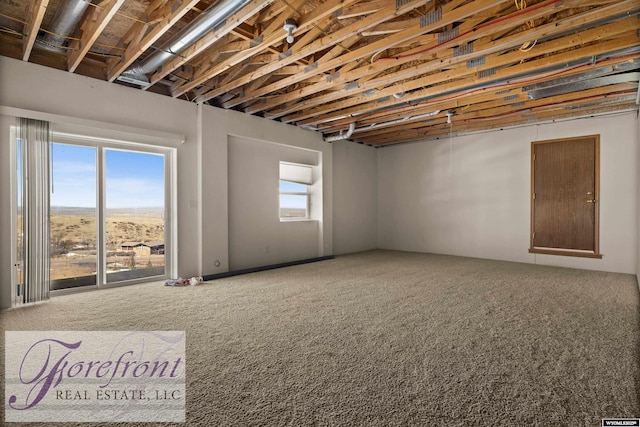 basement featuring a wealth of natural light and carpet