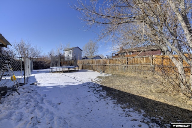 yard covered in snow with a trampoline