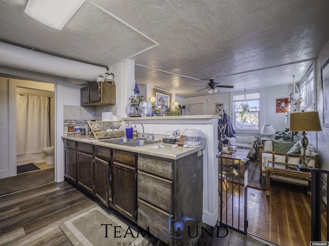 kitchen featuring dark wood-type flooring, dark brown cabinetry, sink, a textured ceiling, and ceiling fan