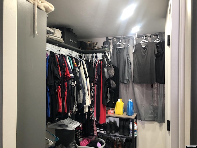 view of spacious closet