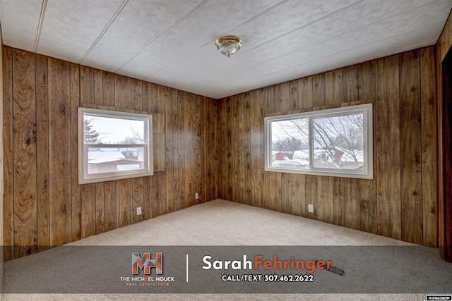 carpeted empty room with wooden walls