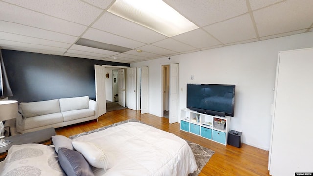 living room featuring wood-type flooring and a paneled ceiling