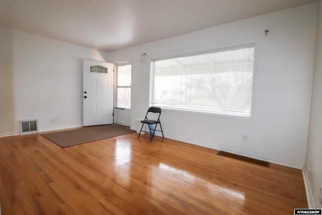 entrance foyer with hardwood / wood-style floors