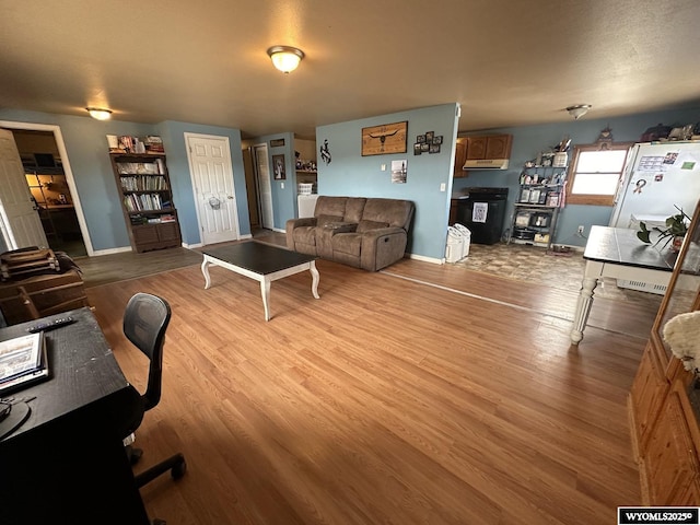 living room featuring light hardwood / wood-style floors