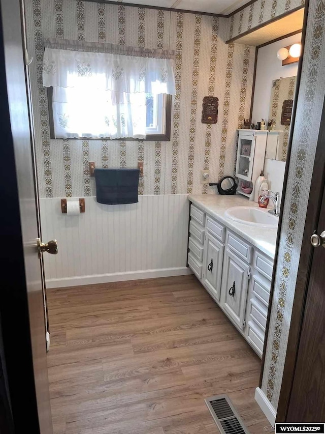 bathroom with wood-type flooring and vanity