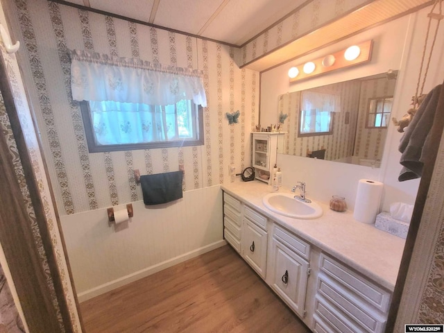 bathroom featuring wood-type flooring and vanity