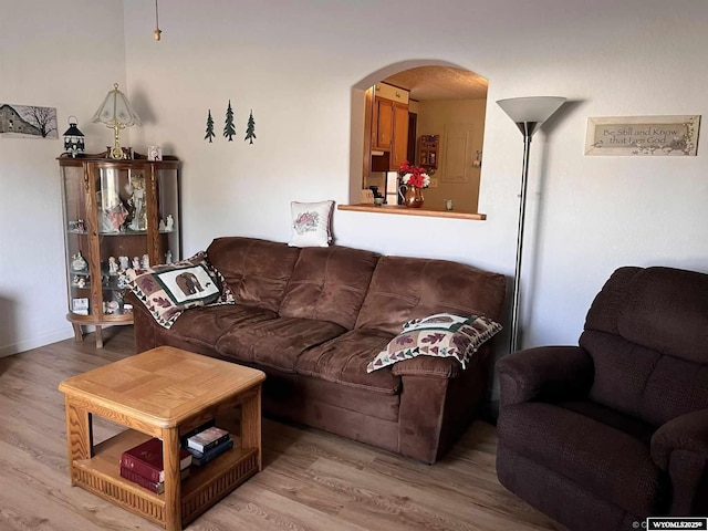 living room featuring hardwood / wood-style floors