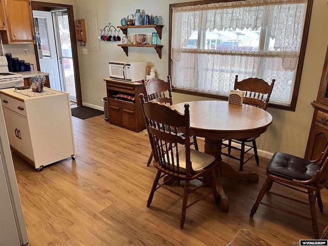 dining room with light hardwood / wood-style floors