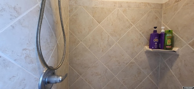 bathroom featuring walk in shower