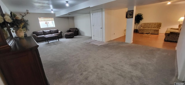 living room featuring carpet flooring