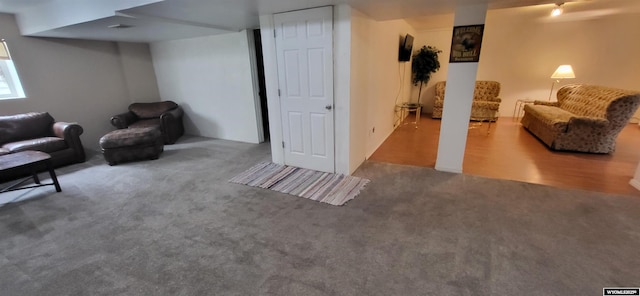 interior space with carpet flooring