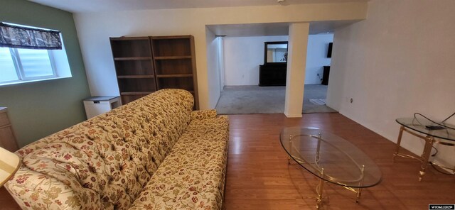 living room with wood-type flooring