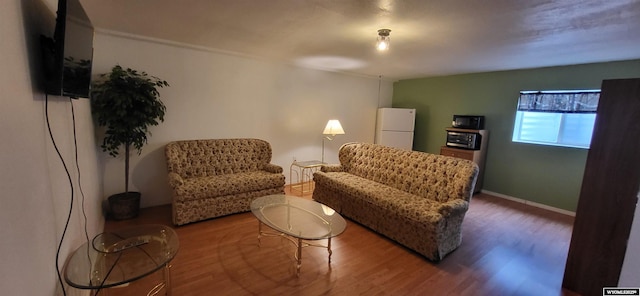 living room with hardwood / wood-style flooring