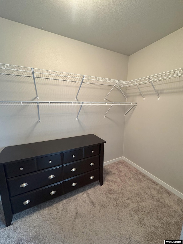 spacious closet with light colored carpet