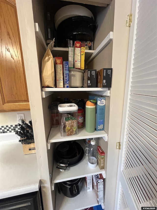 view of pantry