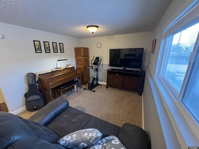 carpeted living room with a textured ceiling