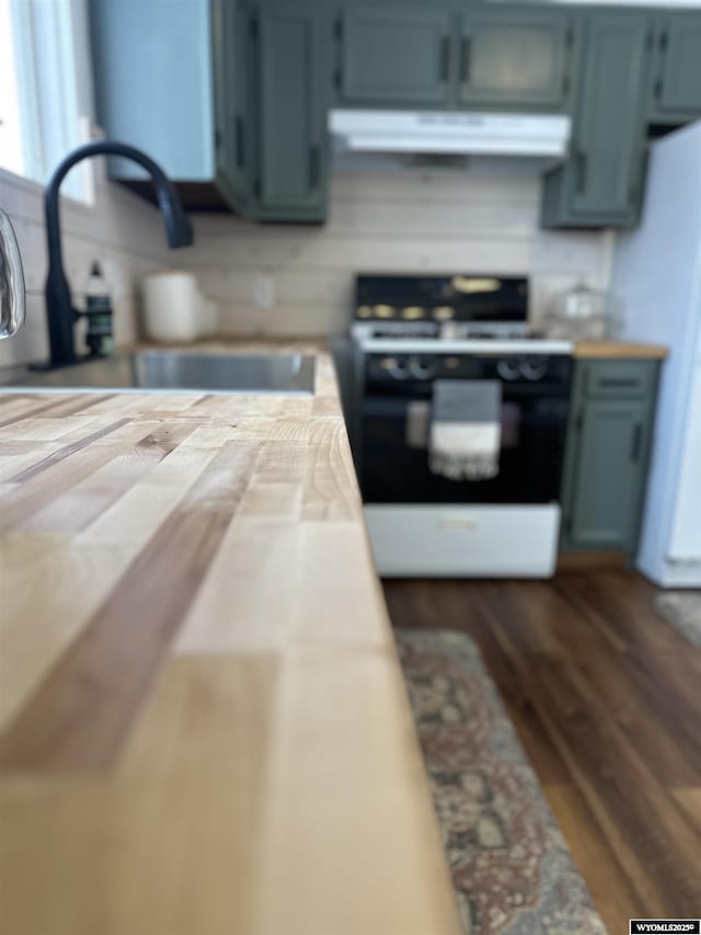 kitchen featuring white refrigerator, dark hardwood / wood-style floors, sink, and stove