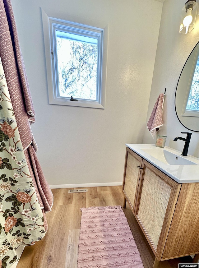 bathroom featuring vanity, a wealth of natural light, and wood-type flooring