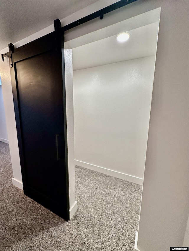 room details featuring a barn door and carpet flooring