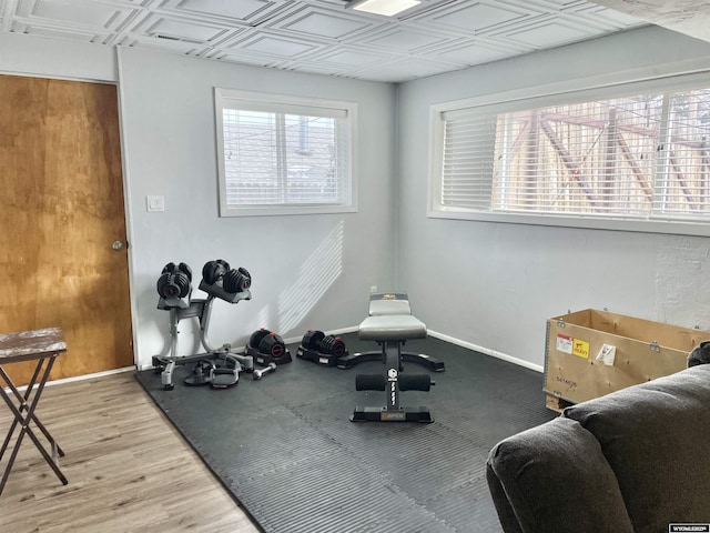 workout area featuring wood-type flooring