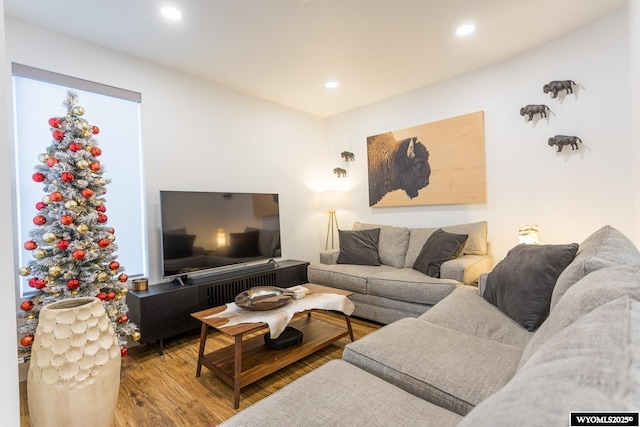 living room with wood-type flooring