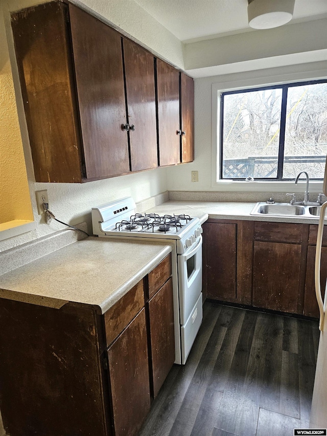 kitchen featuring dark wood-type flooring, dark brown cabinets, sink, and gas range gas stove