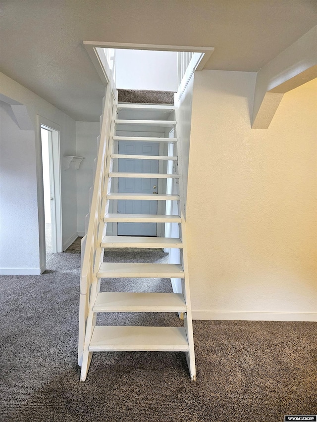 stairs featuring carpet floors