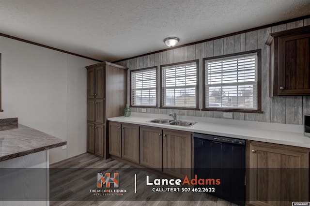 kitchen with sink, dark wood-type flooring, black dishwasher, ornamental molding, and a textured ceiling