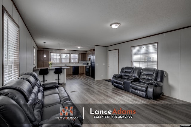 living room featuring ornamental molding, light hardwood / wood-style floors, and a textured ceiling