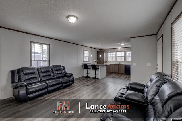 living room featuring sink, crown molding, light hardwood / wood-style floors, and a textured ceiling