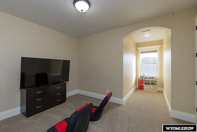 office space featuring light colored carpet and a textured ceiling