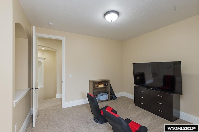 sitting room with light colored carpet and a textured ceiling