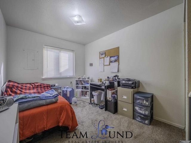 bedroom with carpet floors and a textured ceiling