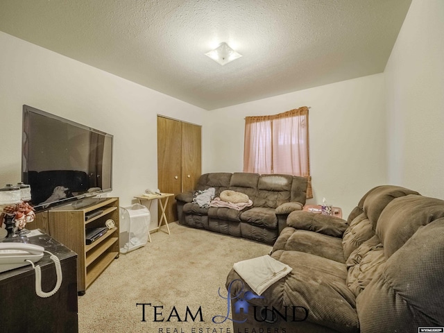 carpeted living room featuring a textured ceiling