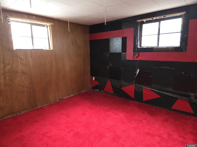 basement featuring carpet flooring