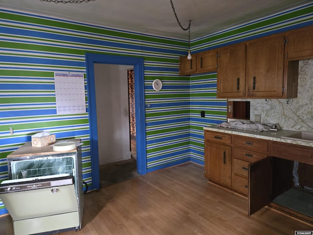 kitchen with sink and hardwood / wood-style floors