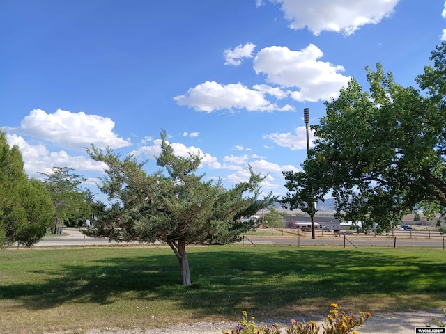 view of yard featuring a rural view