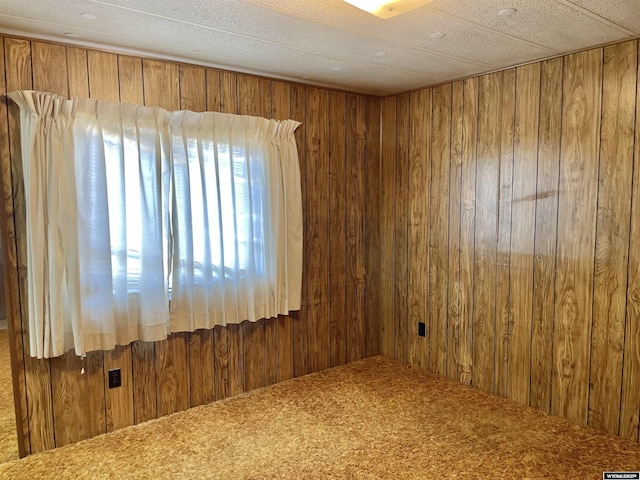 carpeted spare room featuring wood walls