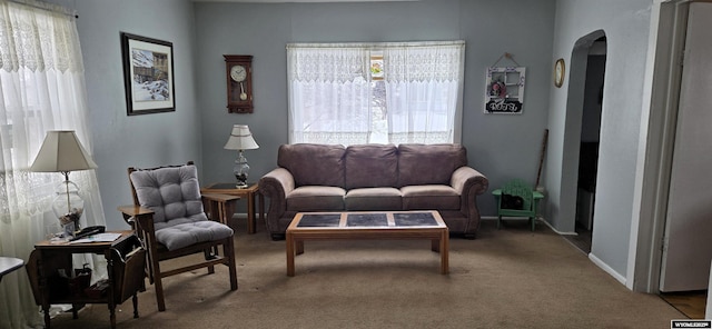 living room with carpet floors