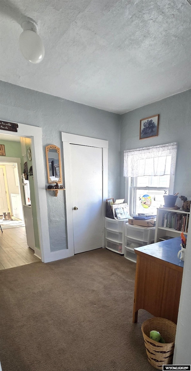 bedroom with carpet flooring and a textured ceiling