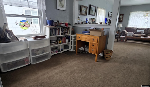 view of carpeted home office