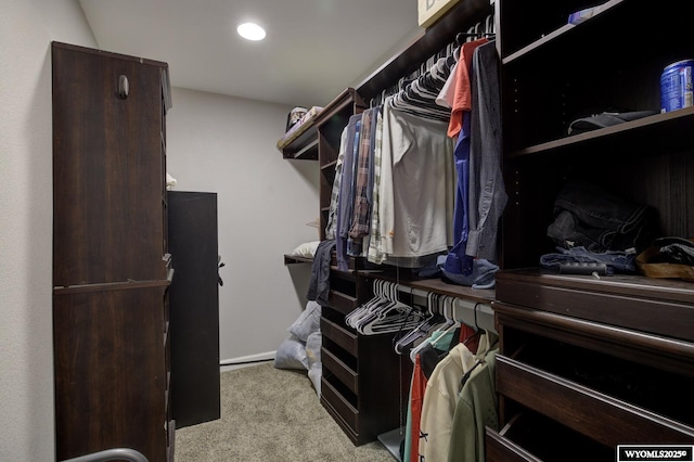 walk in closet featuring light carpet