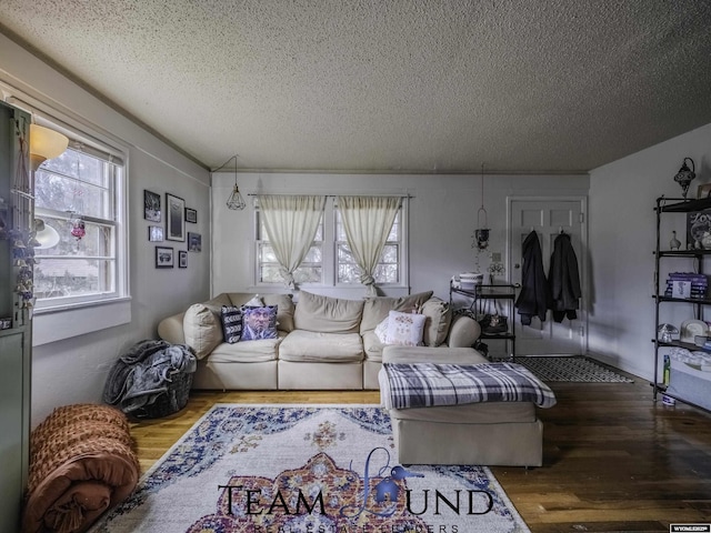 living room featuring hardwood / wood-style flooring and a textured ceiling