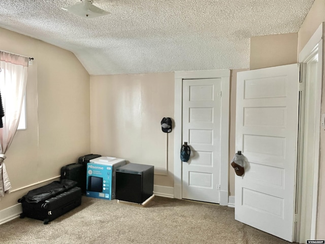 miscellaneous room with carpet flooring, vaulted ceiling, and a textured ceiling