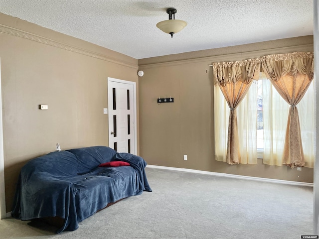 interior space with ornamental molding, a textured ceiling, and carpet