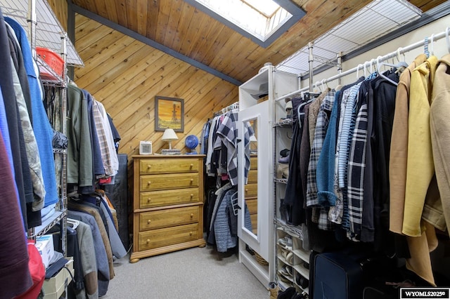 spacious closet featuring a skylight and carpet flooring