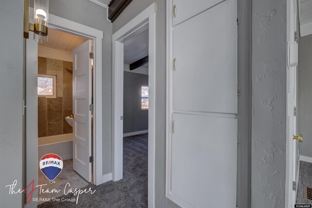 hallway featuring carpet flooring