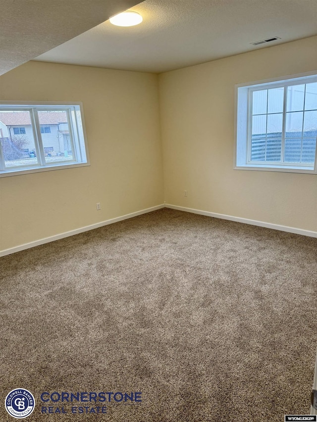 carpeted empty room with a textured ceiling and a wealth of natural light