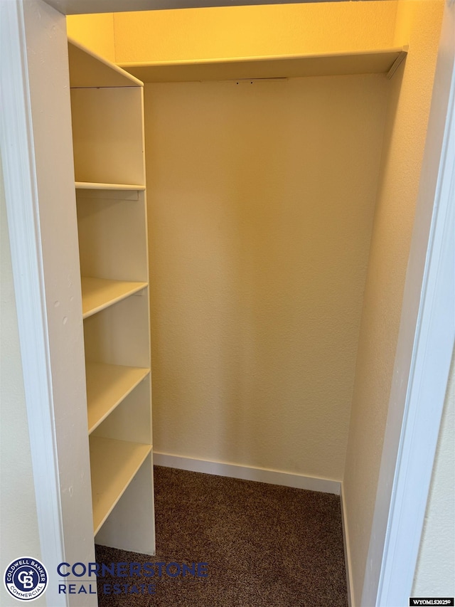 view of closet